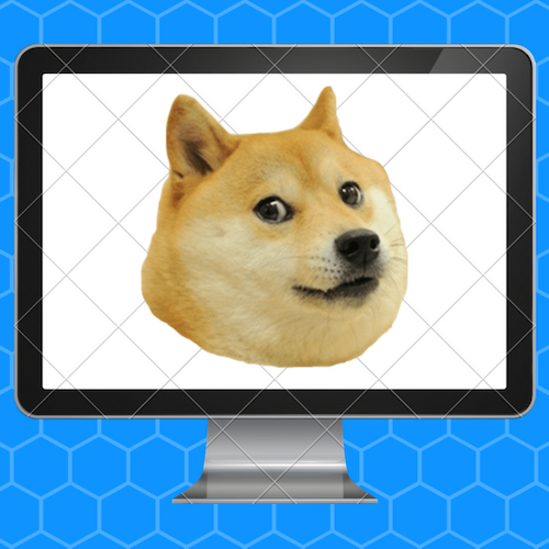 Image of a Dog as a computer screensaver - Promoting Michigan Thrives Website Services